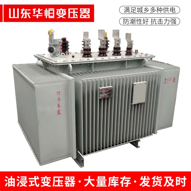 S13-10000/35墨脱墨脱墨脱电力变压器厂家