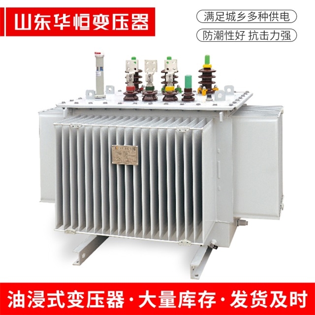 S13-10000/35墨脱墨脱墨脱电力变压器